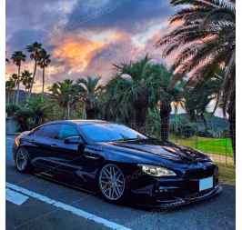 LIP TALONERAS F06/F12/F13