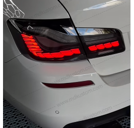 FAROS DE DRAGON F10 AHUMADOS