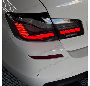 FAROS DE DRAGON F10 AHUMADOS