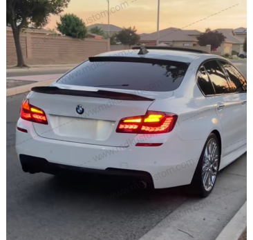 FAROS TRASEROS TIPO DRAGON BMW F10