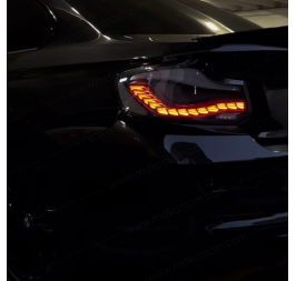 FAROS DRAGON AHUMADOS BMW F22 F23