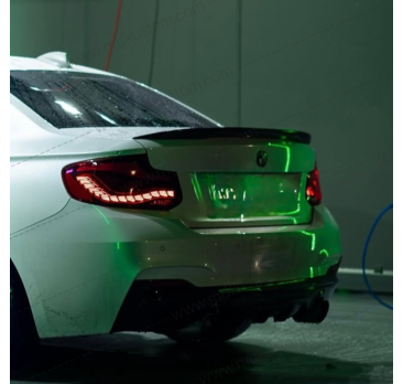 FAROS TRASEROS LED DRAGON BMW F22/F23