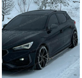 LIP LISO DE TALONERAS LEON MK4