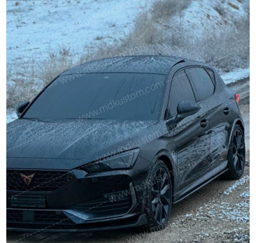 LIP LISO DE TALONERAS LEON MK4