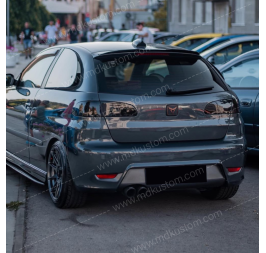 EXTENSION ALERON IBIZA 6L