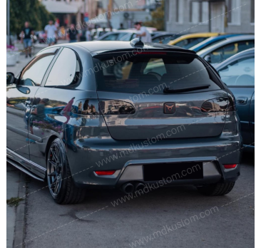 EXTENSION ALERON IBIZA 6L